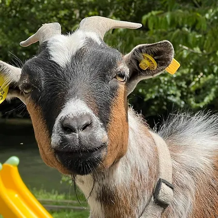 Des 3 Vallees Lejlighed Pitres